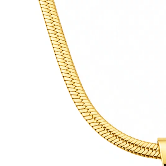 Colar Nossa Senhora Aparecida com Strass Corrente Laminada em Inox Dourado