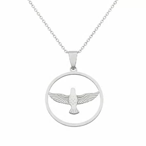 Colar com Medalha do Divino Espírito Santo em Inox - Prata