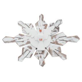 Divino Espírito Santo Raiado em Madeira Branca - 18,5x28cm