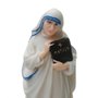 Imagem Madre Teresa de Calcutá em resina - 20cm