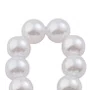 Kit Dezena Nossa Senhora Das Graças Pérola Abs Branca 8mm 6un