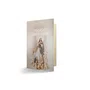 Terço com Folheto de Nossa Senhora da Conceição - Rose Gold